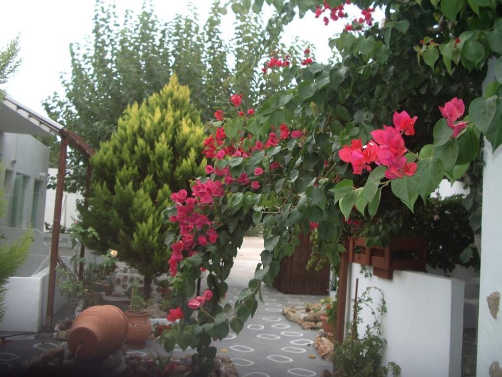 Skyros Panorama Studios Exterior photo